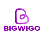 Bigwigo Production and Media | Branding Agency in India | Marketing Agency in Jodhpur |